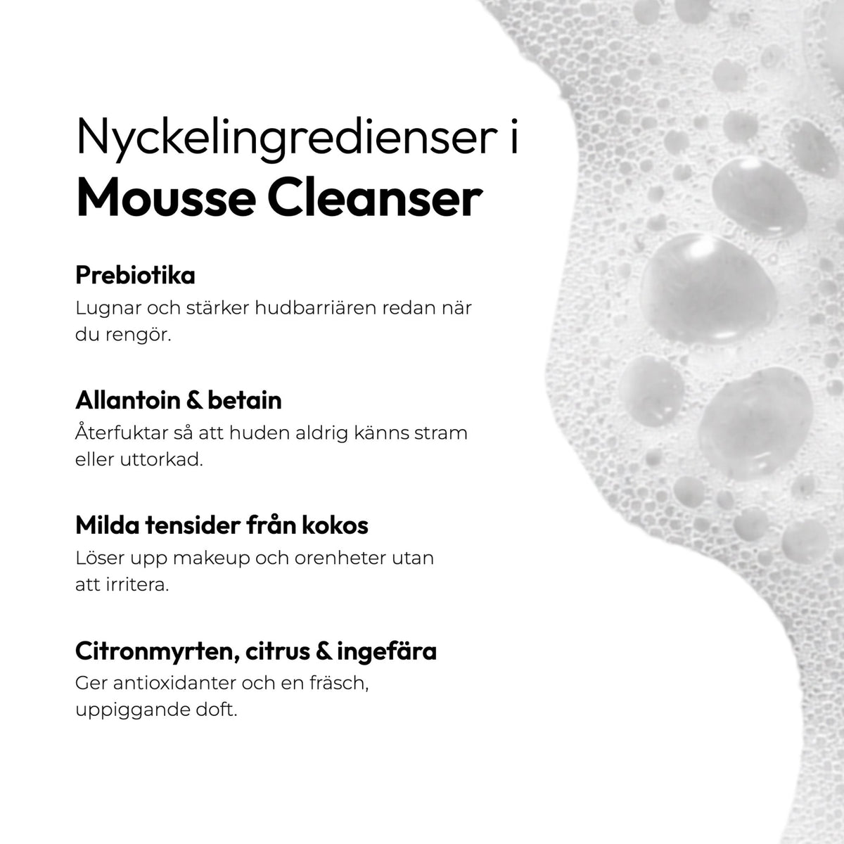 Bagliora Mousse-Reiniger